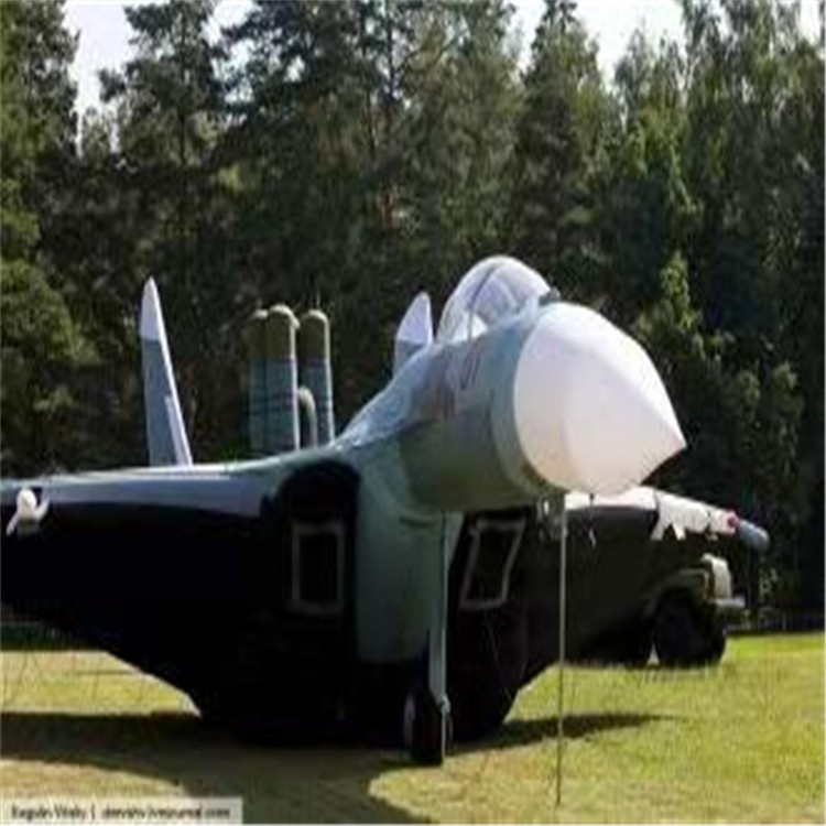 毛道乡充气模型飞机制造商家